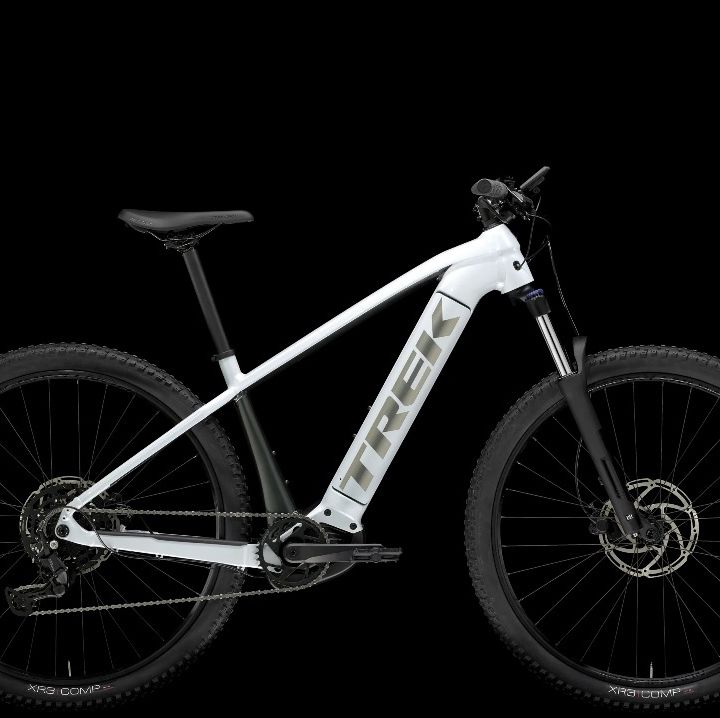 Trek Powerfly 4 2024  Grey Pearl_Lithium Grey.jpg
